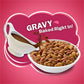 Friskies Gravy Swirlers Savory Chicken & Salmon Dry Cat Food, 3.15 lb Bag