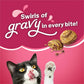 Friskies Gravy Swirlers Savory Chicken & Salmon Dry Cat Food, 3.15 lb Bag