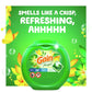 Gain Flings Laundry Detergent Soap Pacs, 60 Ct, Original Scent