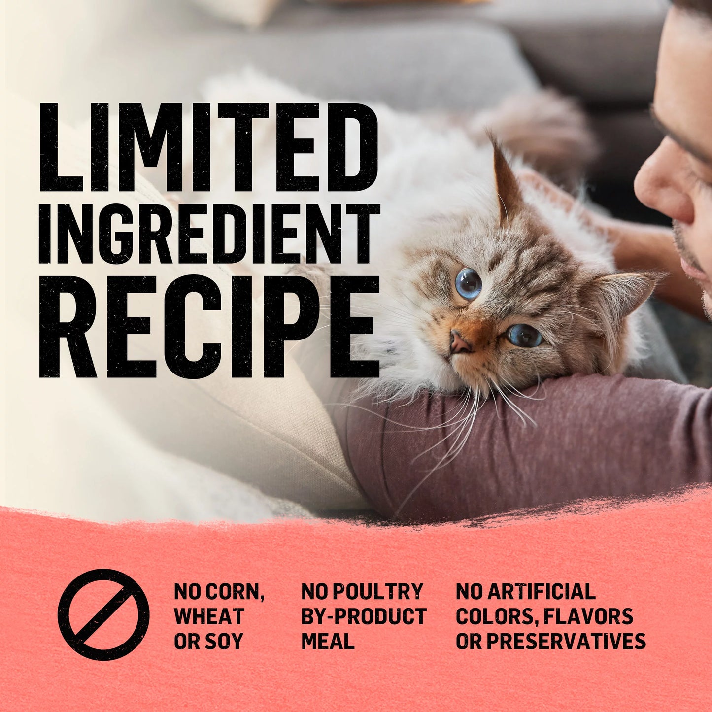 Purina Beyond Simply Indoor Cat Dry Cat Food Salmon Egg Sweet Potato, Grain-Free, 3 lb Bag