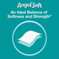 Angel Soft 2-Ply Toilet Paper (48 Mega Rolls, 320 Sheets/Roll)