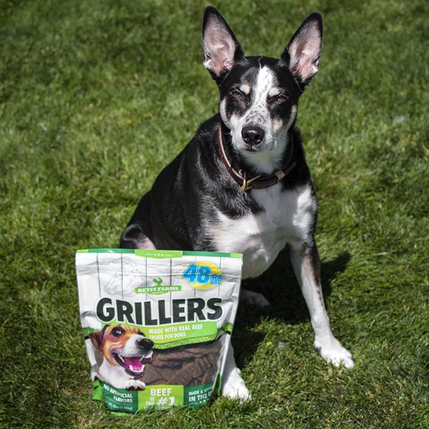 Betsy Farms Grillers Dog Treats (48 oz.)