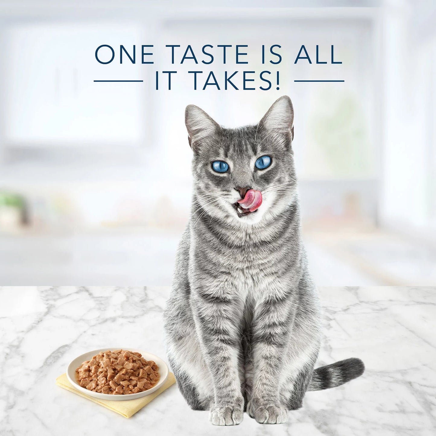 Blue Buffalo Tastefuls Pate Wet Cat Food, Variety Pack (5.5 oz., 32 ct.)