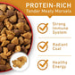 Purina One Dry Dog Food for Adult Dogs Chicken and Rice Formula, 8 lb Bag