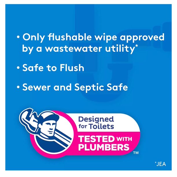 Cottonelle Fresh Care Flushable Wet Wipes, 12 Flip Top Packs (42 wipes/pk., 12 pk.)