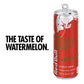Red Bull Energy Drink, Watermelon (12 fl oz., 24 pk.)
