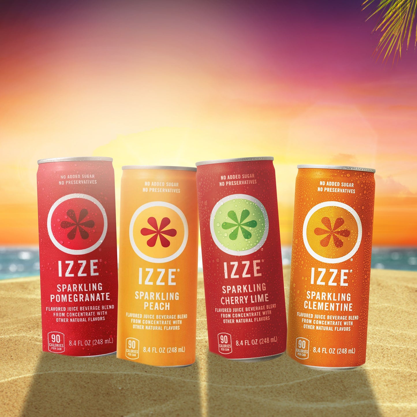 IZZE Sparkling Juice Variety Pack (8.4 fl. oz., 24 pk.)