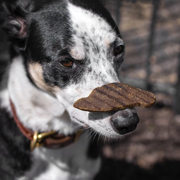 Betsy Farms Grillers Dog Treats (48 oz.)