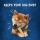 Purina Busy Rollhide Small/Medium Dog Treats, 15 ct.