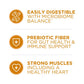 Purina ONE Tender Selects Blend With Real Chicken Digestive Natural Dry Cat Food