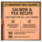 Pure Balance Wild & Free Salmon & Pea Recipe Dry Dog Food, Grain-Free, 11 lbs