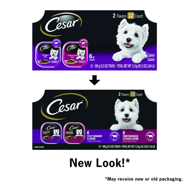 CESAR Classic Loaf in Sauce Beef Flavors Wet Dog Food Variety Pack, (12 Pack) 3.5 oz. Trays