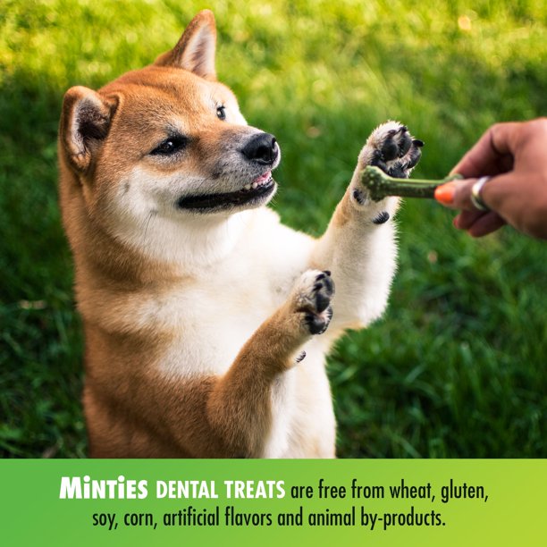 Minties Dental Dog Bone Treats, Maximum Mint (40 ct.)