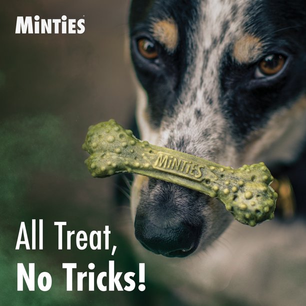 Minties Dental Dog Bone Treats, Maximum Mint (40 ct.)